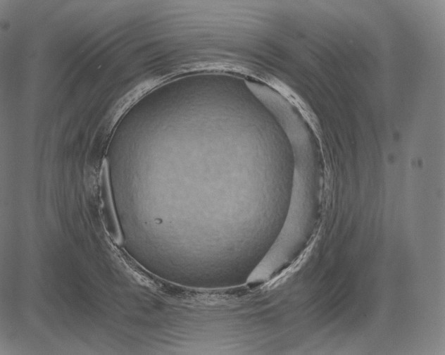 X0000084530993200703091623