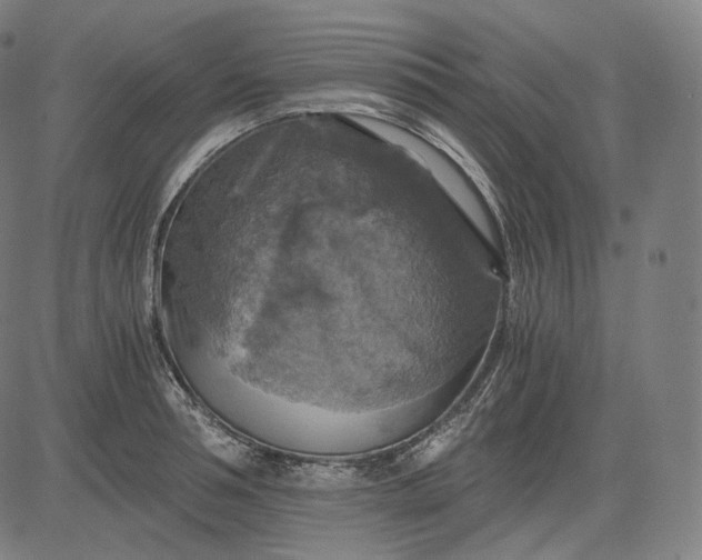 X0000084530994200703091623