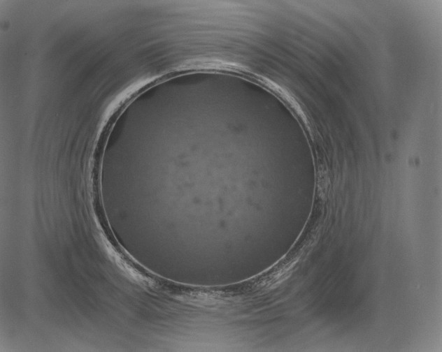 X0000084530995200703091623