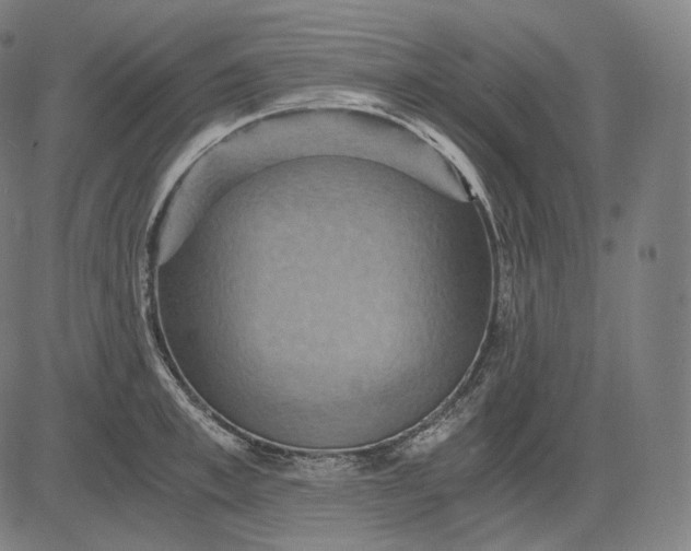 X0000084530997200703091623