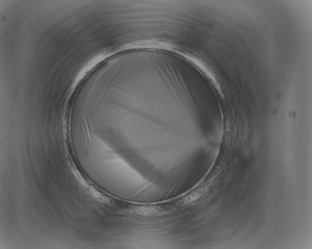 X0000084530998200703091623