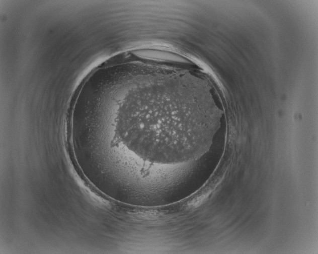 X0000084530999200703091623