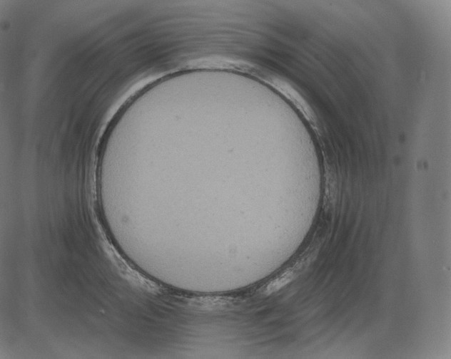 X0000084531000200703091623