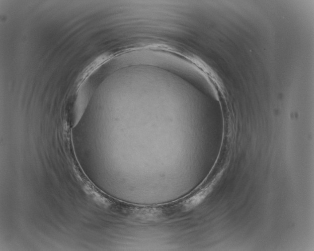 X0000084531001200703091623