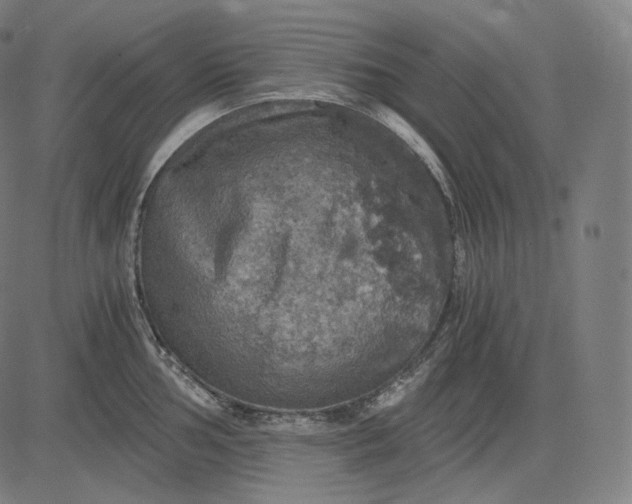 X0000084531002200703091623