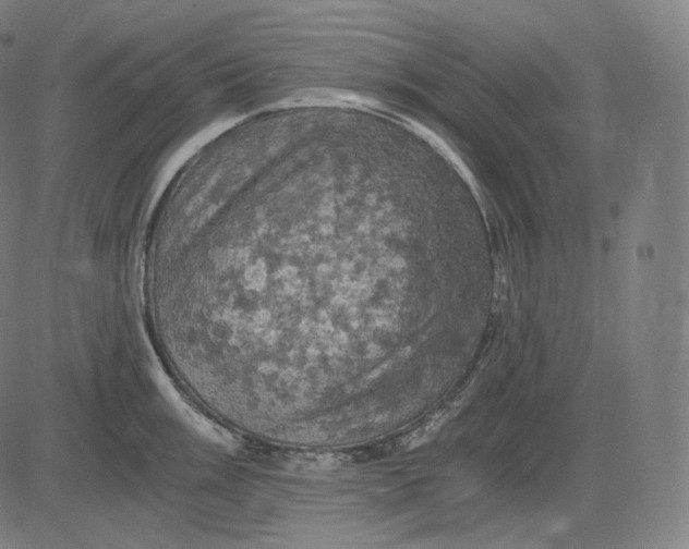 X0000084531003200703091623