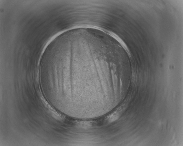 X0000084531004200703091623