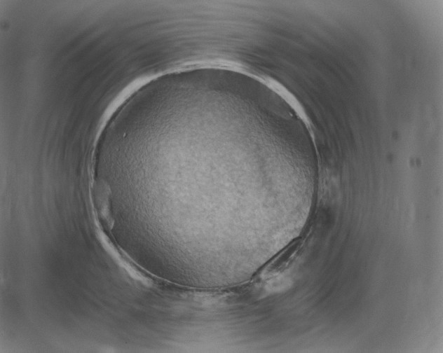 X0000084531005200703091623