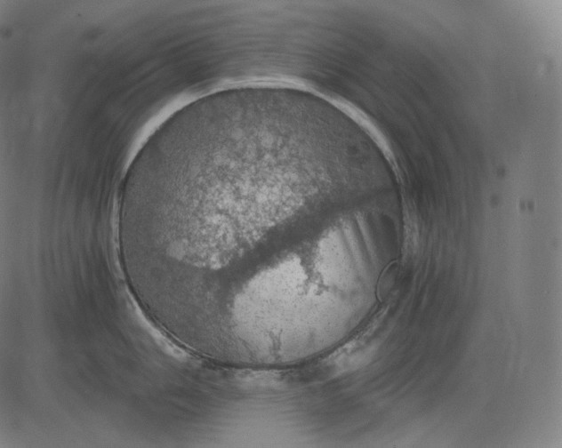 X0000084531006200703091623