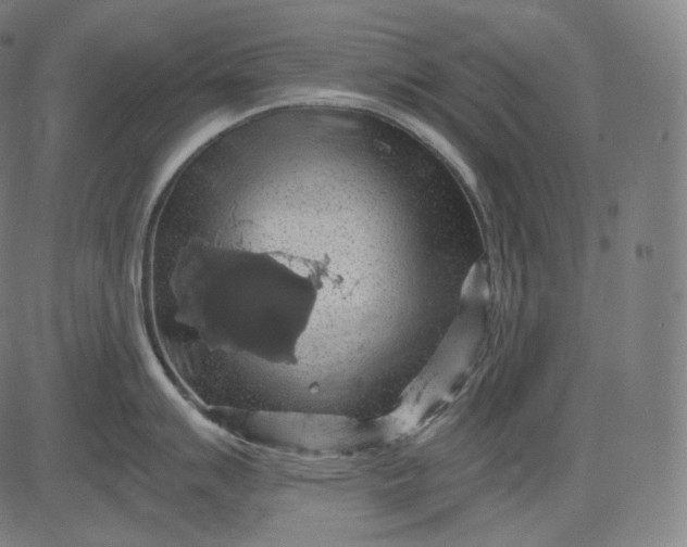 X0000084531007200703091623