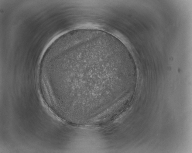 X0000084531008200703091623