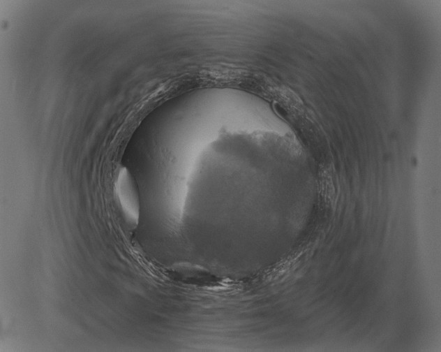 X0000084531009200703091622