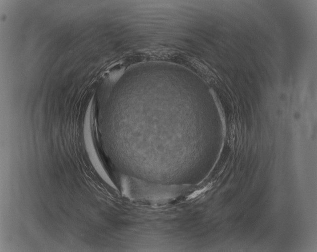 X0000084531010200703091622