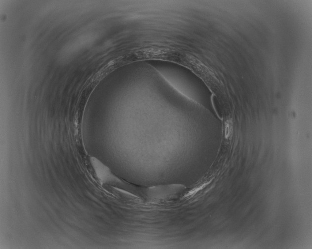 X0000084531011200703091622