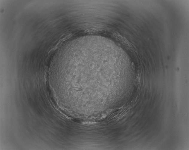 X0000084531012200703091622