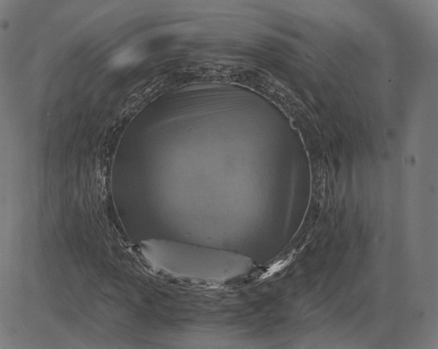 X0000084531013200703091622