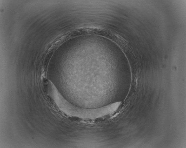 X0000084531014200703091622