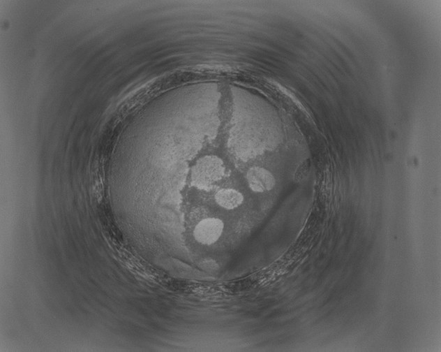 X0000084531015200703091622