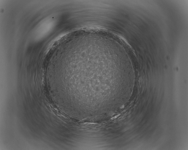 X0000084531016200703091622