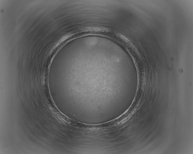 X0000084531017200703091622