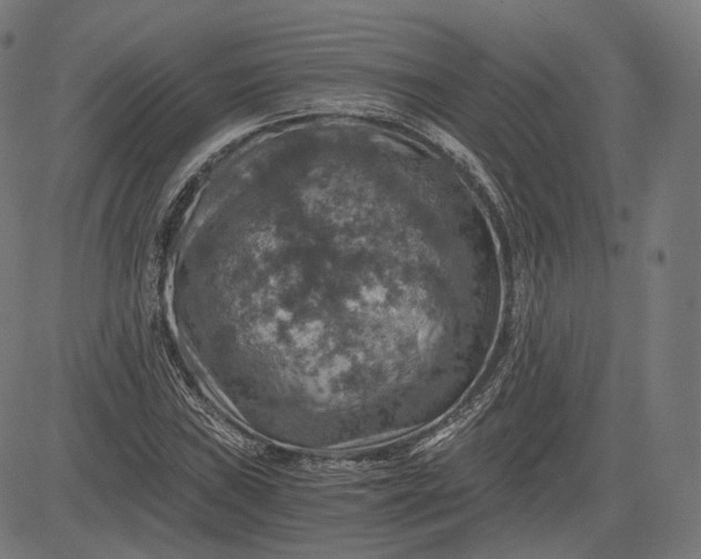 X0000084531019200703091622