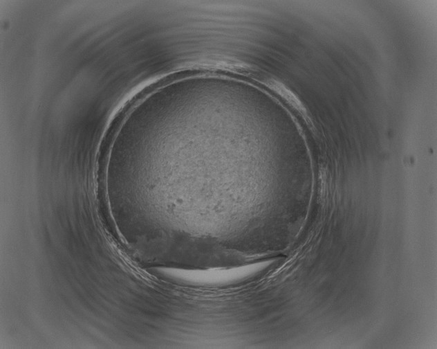 X0000084531020200703091622