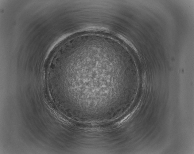 X0000084531021200703091622