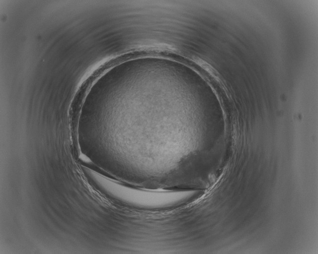 X0000084531022200703091622