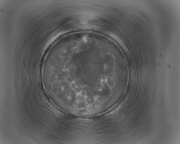 X0000084531023200703091622