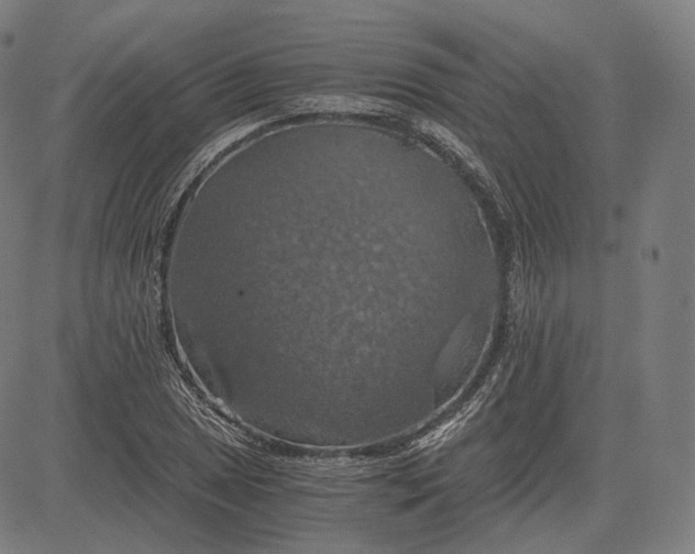 X0000084531025200703091622