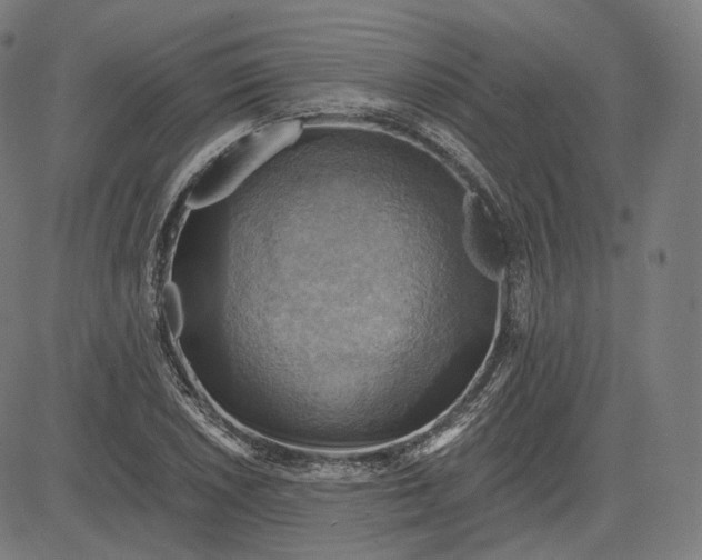 X0000084531026200703091622