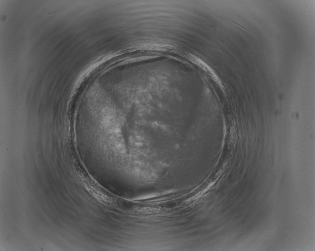 X0000084531027200703091622