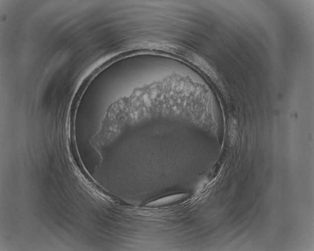 X0000084531028200703091622