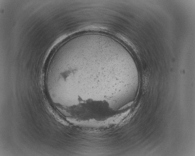 X0000084531029200703091623