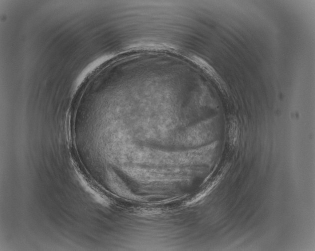 X0000084531030200703091623