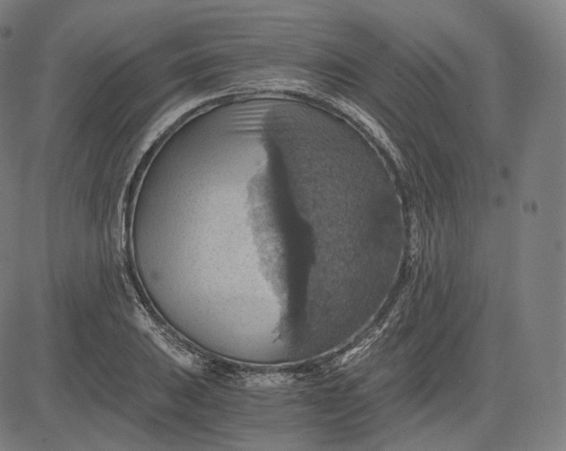 X0000084531031200703091623