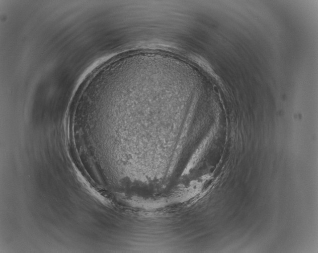 X0000084531032200703091623