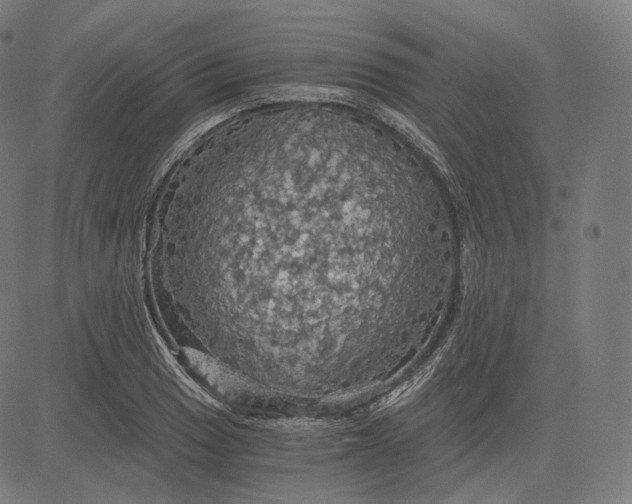 X0000084531033200703091623