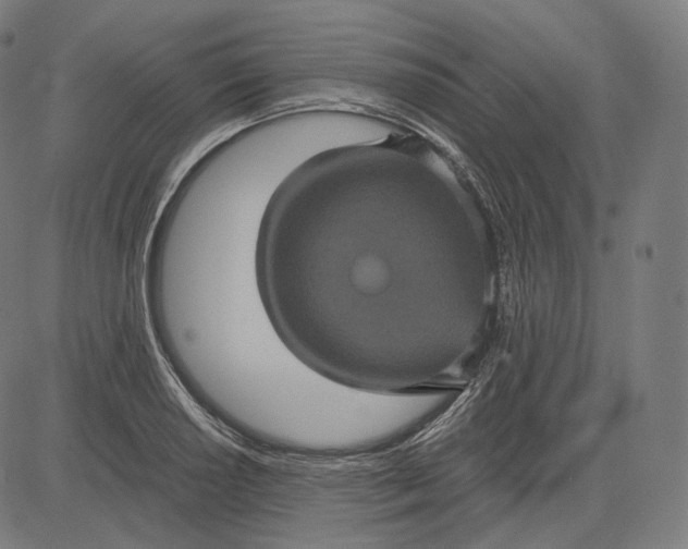 X0000084531034200703091623