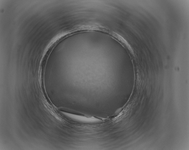 X0000084531035200703091623