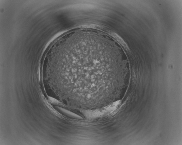 X0000084531036200703091623