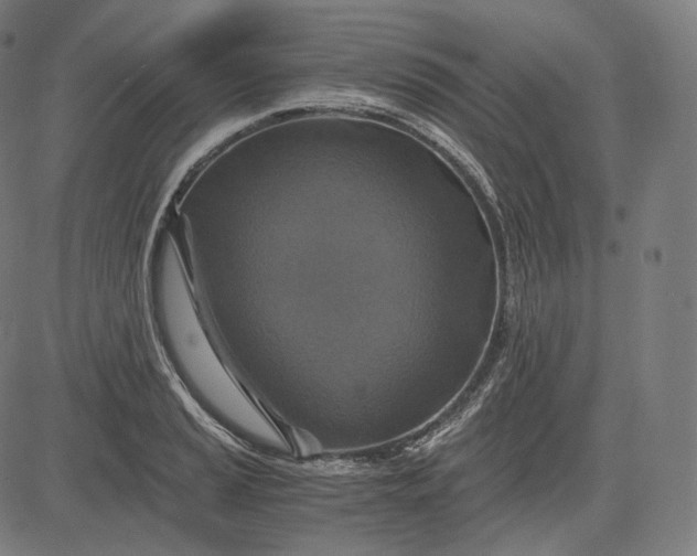 X0000084531037200703091623