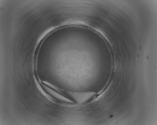 X0000084531038200703091623