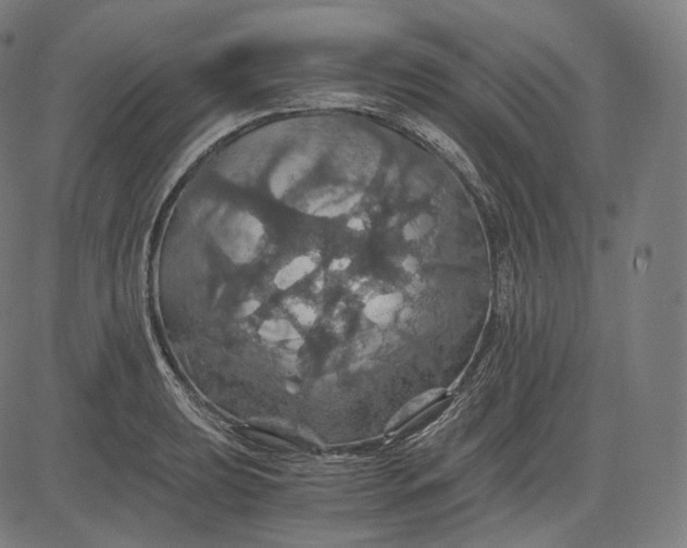 X0000084531039200703091623