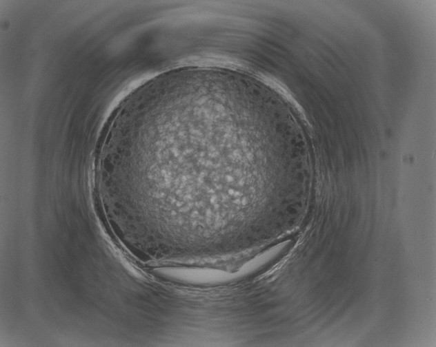 X0000084531040200703091623