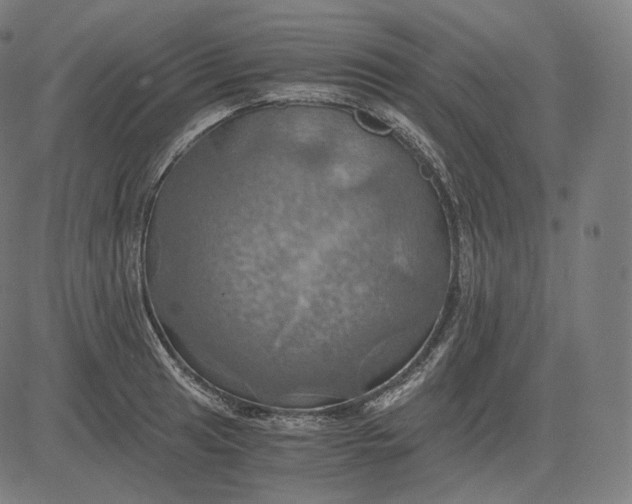 X0000084531041200703091623