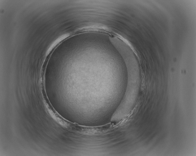 X0000084531042200703091623