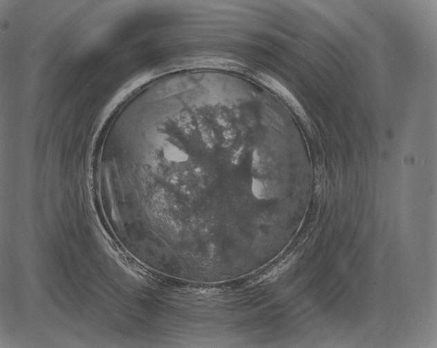 X0000084531043200703091623