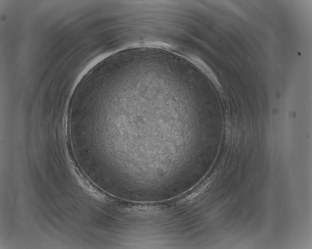 X0000084531044200703091623