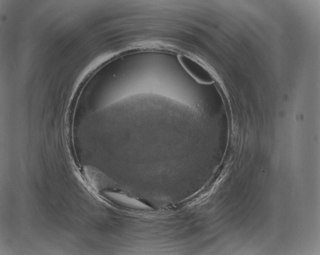 X0000084531045200703091623